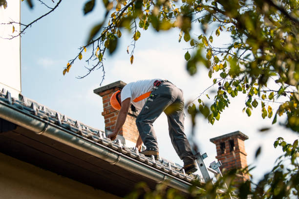 Best Roof Leak Repair  in Murphys, CA